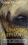 ChasingElephants-Cover-small-10-09-10